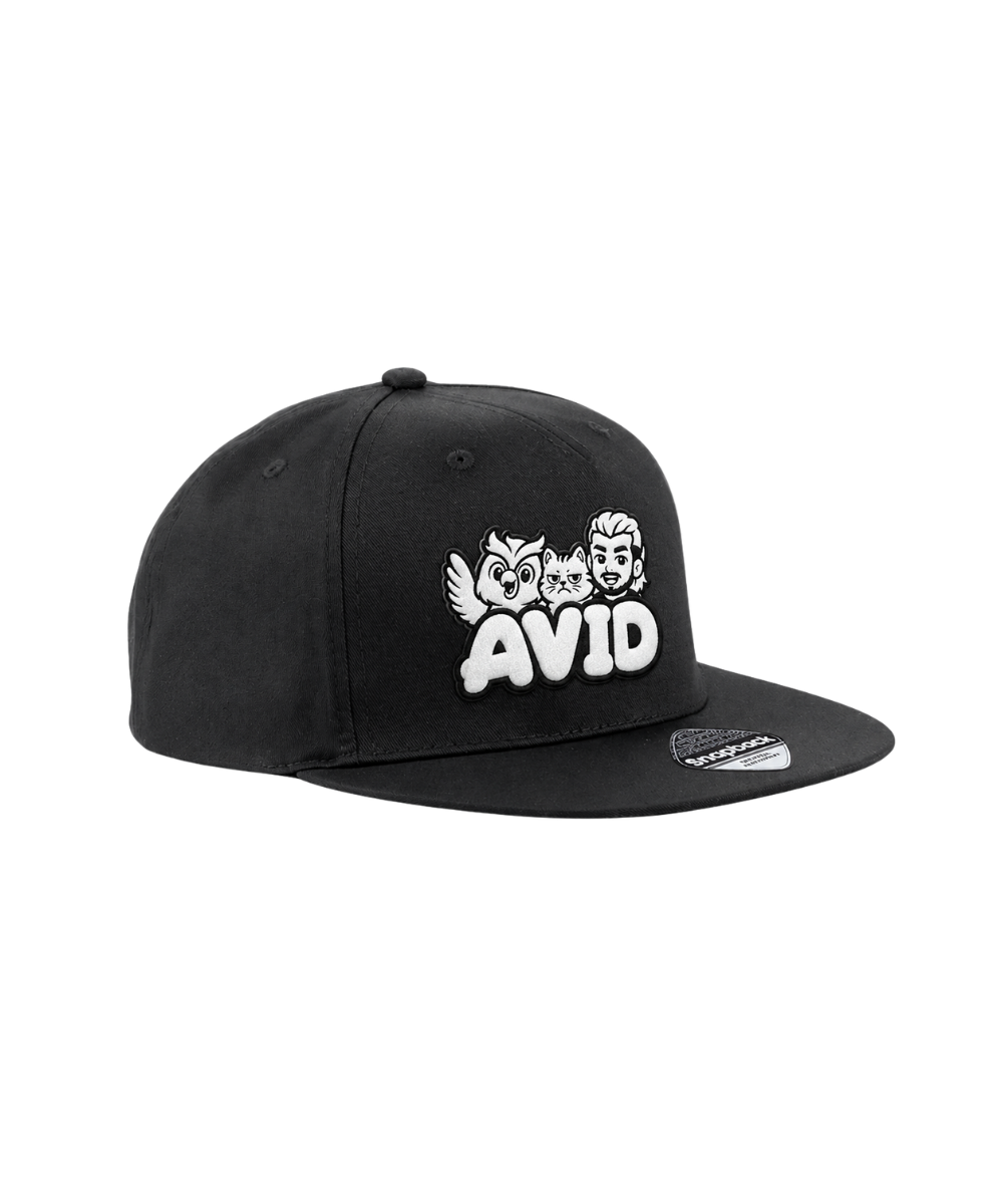 Avid Trio snapback