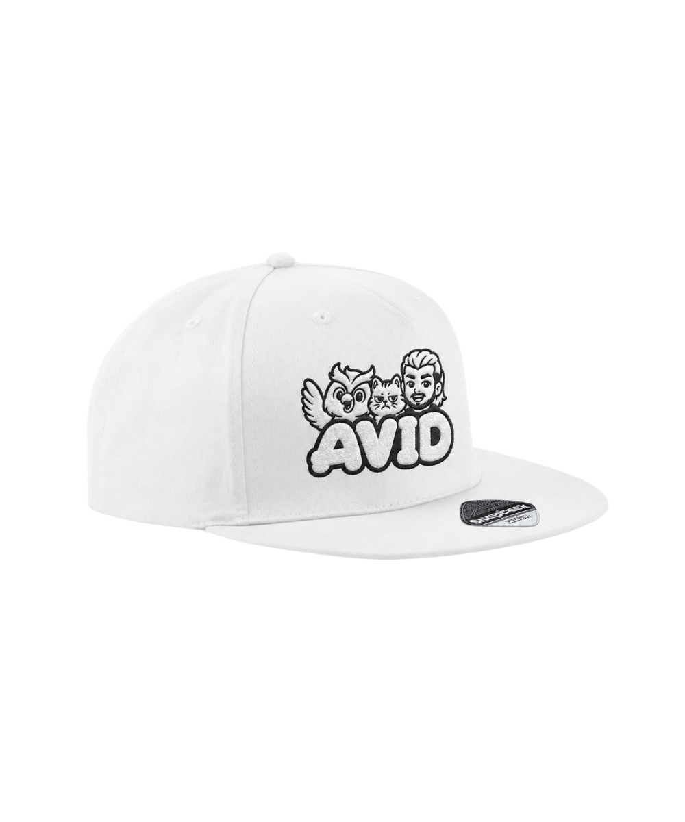 Avid Trio snapback